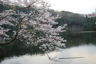 釣行記写真