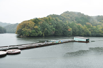 釣行記写真