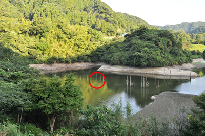 釣行記写真