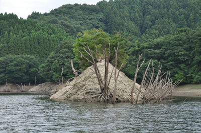 釣行記写真