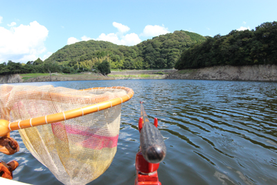 釣行記写真