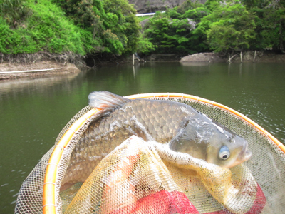 釣行記写真