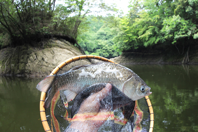 釣行記写真