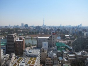 病室からの朝の風景。